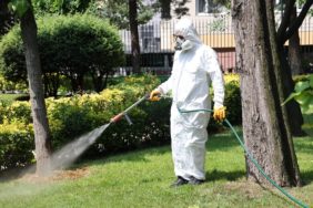 Bağcılar’da parklar ve yeşil alanlar ilaçlanıyor (2)