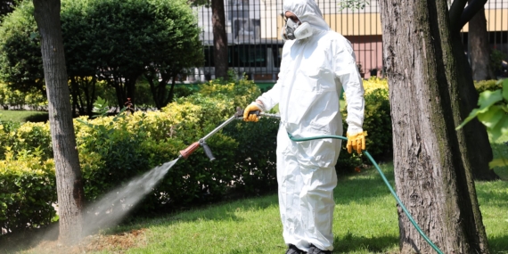 Bağcılar’da parklar ve yeşil alanlar ilaçlanıyor (2)