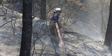Bilecik Sakarya Yangın