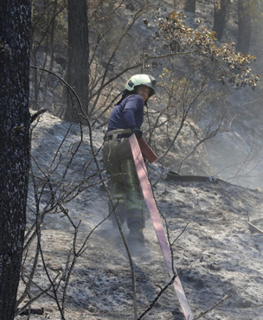 Bilecik Sakarya Yangın