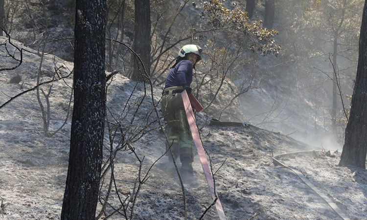 Bilecik Sakarya Yangın