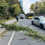 İstanbul_Yağış (3)