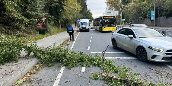 İBB Ekipleri Tam Kadro Sahada: Fırtına ve Sağanak Yağışlara Anında Müdahale