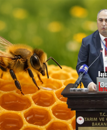 Tarım Arı yeni başkan