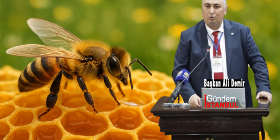 Türkiye Arı Yetiştiricileri Merkez Birliği’nin Yeni Başkanı Ali Demir Oldu