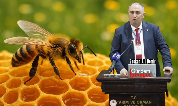Tarım Arı yeni başkan