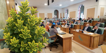 Zeytinburnu’na Enayimus Japonikos Bravo Bitkisi