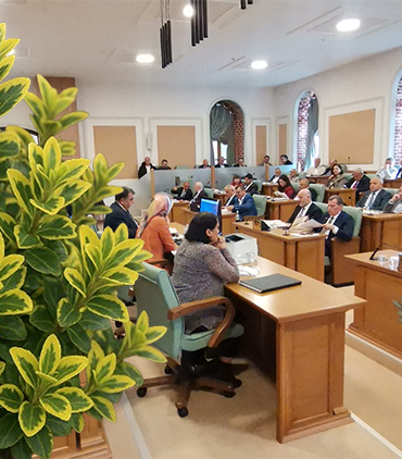 Zeytinburnu’na Enayimus Japonikos Bravo Bitkisi