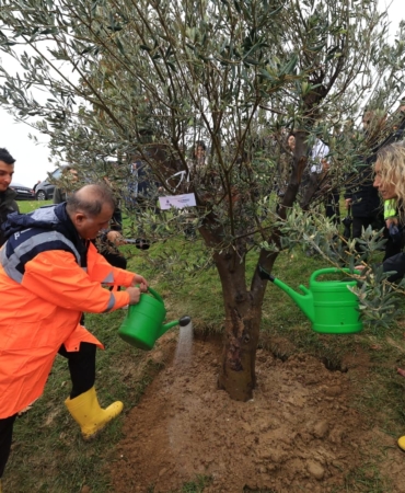 AĞAÇ DİKİMİ (1)