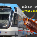 Tranwayda Kalorifer Böceği
