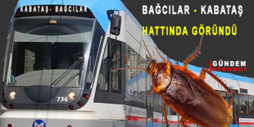 Tranwayda Kalorifer Böceği
