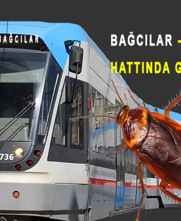 Tranwayda Kalorifer Böceği
