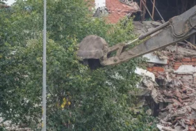 Güngören ağaç katliamı kentsel dönüşüm