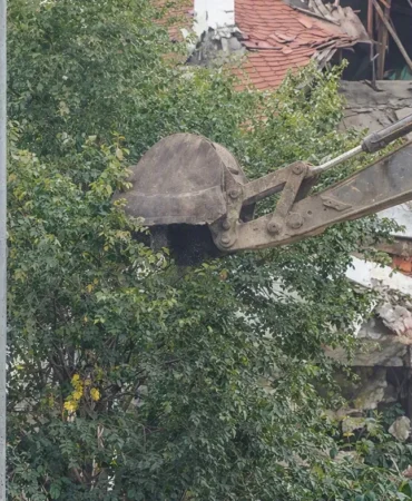 Güngören ağaç katliamı kentsel dönüşüm