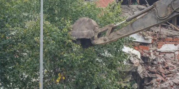 Kentsel Dönüşüm Mü, Ağaç Katliamı Mı?